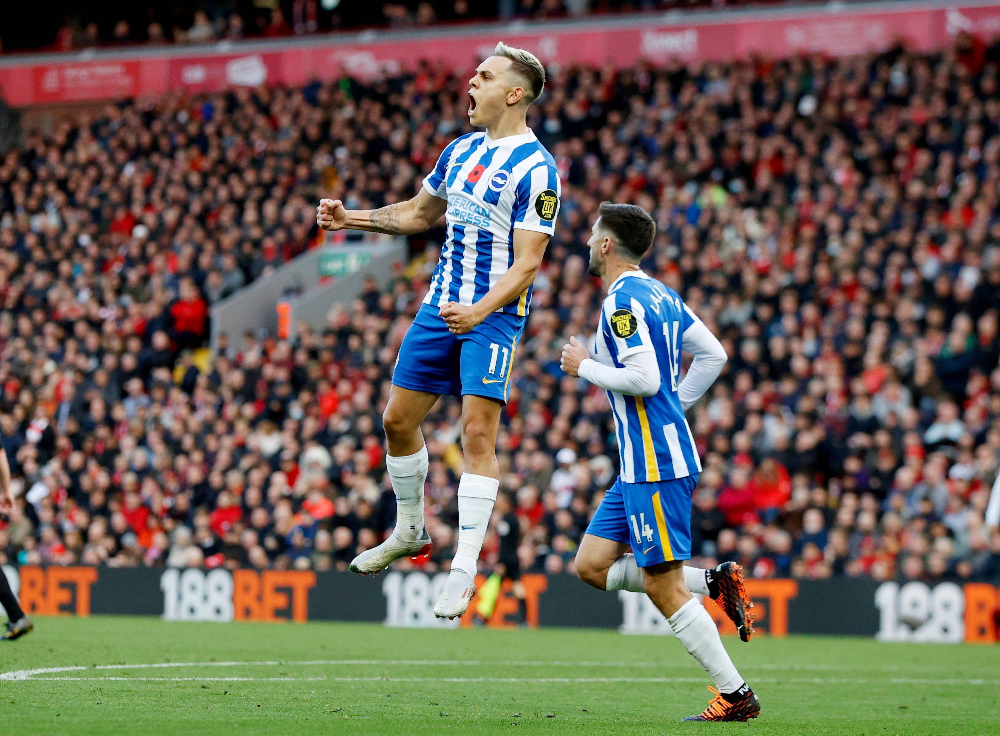 稳健发挥中 稳健发挥中